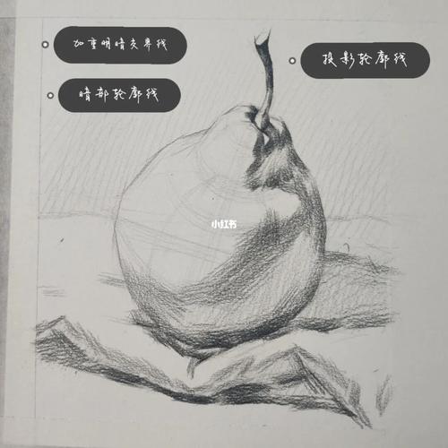 素描梨子_素描_艺术生_艺考_教程_素描静物_兴趣爱好