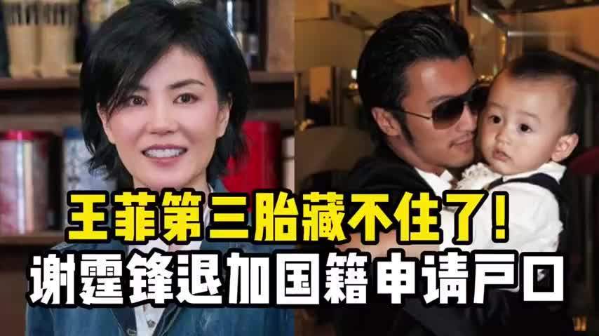 王菲三胎藏不住了谢霆锋退加拿大国籍为给孩子上户口可喜可贺
