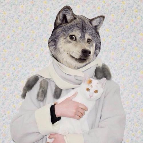 小动物男头-我喜欢找他喜欢的头像,因为我觉得对他还有用