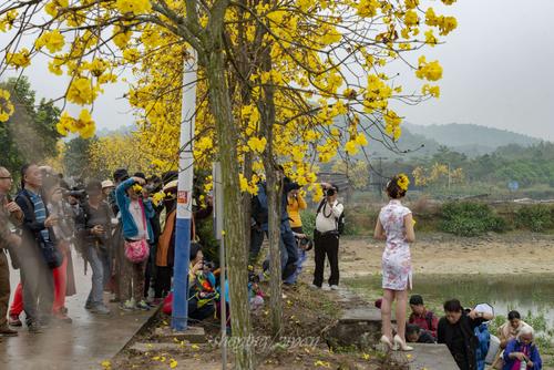 广州花都赤坭镇竹洞村 - 美篇