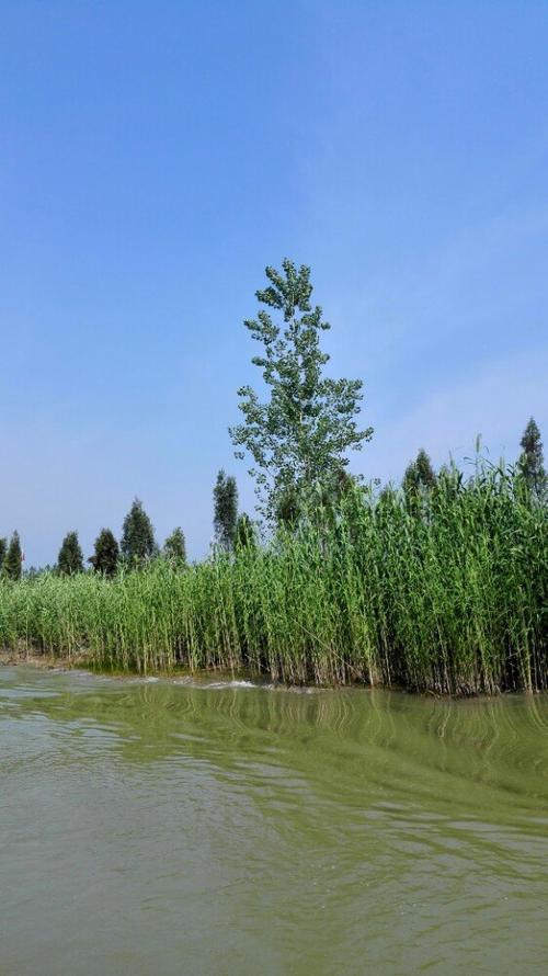 泗洪洪泽湖湿地旅游景点攻略图