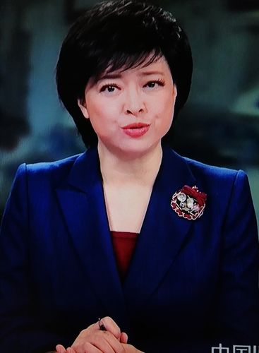 央视主播——彭坤:甜美风采.2020-11-06日