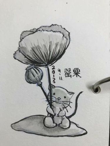 20180911题目罂粟花