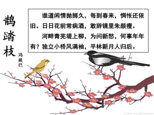 鹊踏枝(谁道闲情抛弃久)冯延巳ppt课件