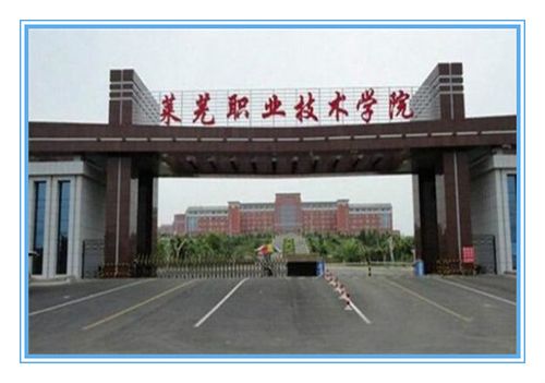 山东专科大学前十名排名榜单六,莱芜职业技术学院