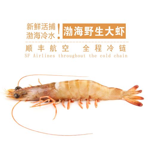 渤海野生对虾大虾基围虾 比白虾青虾阿根廷红虾好 烟台海鲜水产