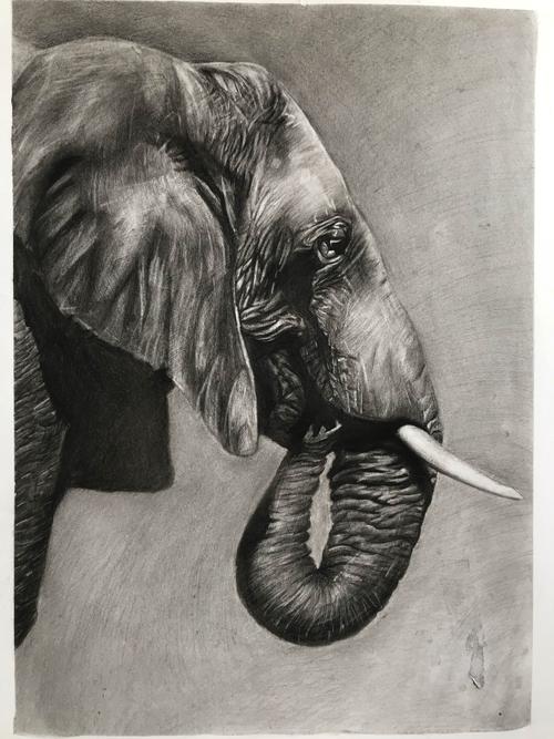 尽精微·2019启源精微素描展.