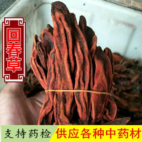 批发中药材 回春草 顶天柱 草苁蓉 不老草 无硫无添加