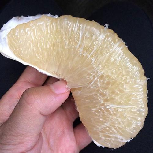 产地直销湖南高山蜜柚当季特产新鲜水果白心肉白柚子非红心包邮