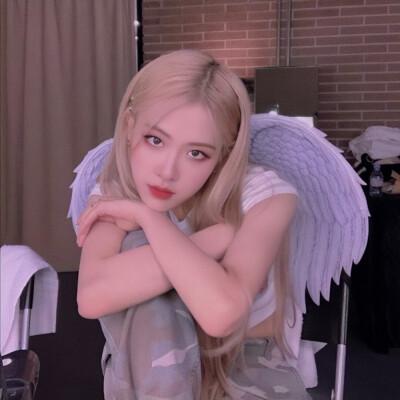 rose - 堆糖,美图壁纸兴趣社区