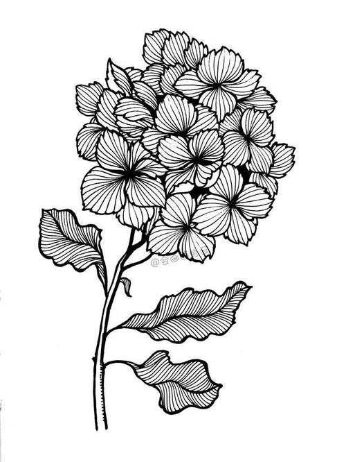 零基础的小白也可以画的简笔画,教你用1支笔画一簇花