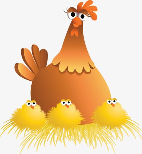 卡通母鸡