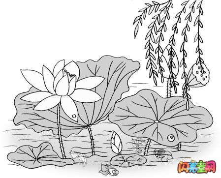 夏天池塘里的荷花简笔画