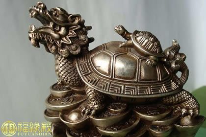 客厅龙龟的摆放位置禁忌及功效