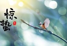 2022惊蛰是几月几日惊蛰节气的由来及习俗
