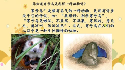 2017新版部编版二年级上册语文13《寒号鸟》ppt课件
