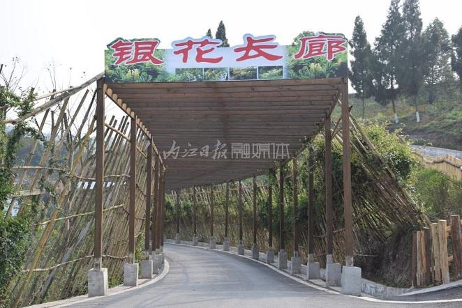 看威远县中药材现代农业产业园,如何实现产业融合发展