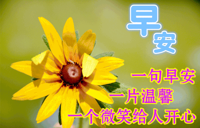 开心就好,好运相伴,祝福相随,每时每刻,每分每秒,亲爱的朋友,早安!