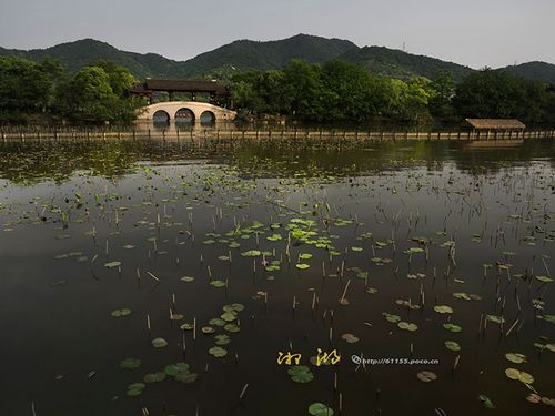 上最早的独木舟,把浙江文明史前推到八千年;湘湖城山之颠的越王城遗址