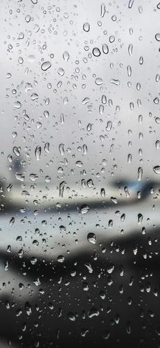 〔壁纸〕听雨