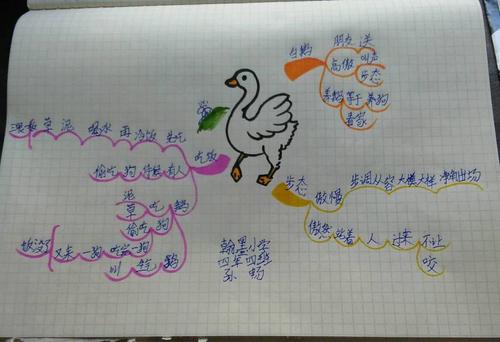 四年四班《白鹅》思维导图集