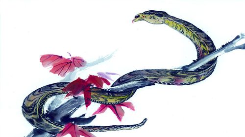 男属蛇女属羊几等婚配男属蛇女蛇女属羊是否好婚配