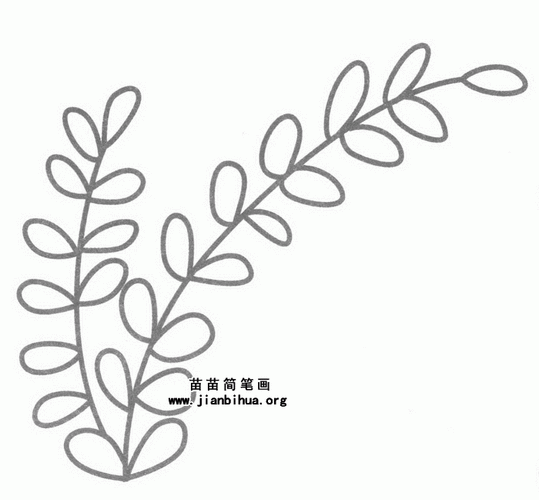 含羞草简笔画图片,教程-儿童简笔画大全