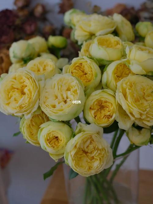 凯特琳娜玫瑰_包子_家居家装_家居装饰_花艺