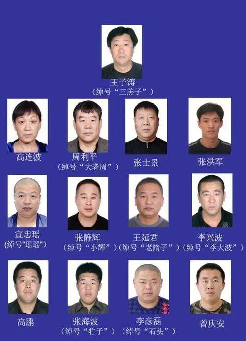 哈尔滨警方征集该黑恶势力团伙犯罪线索