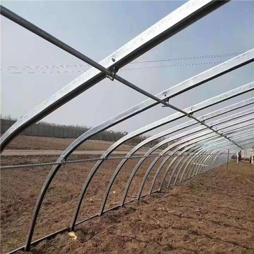 梁山县几字钢全钢架大棚使用年限久