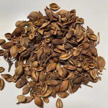 中药材连翘旱连子大翘子空翘空壳一公斤起售