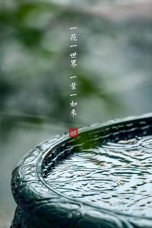 佛经中经典语录,看看有没有一句话能让你收获清凉