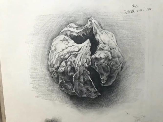 期待已久的精微素描班正式开课