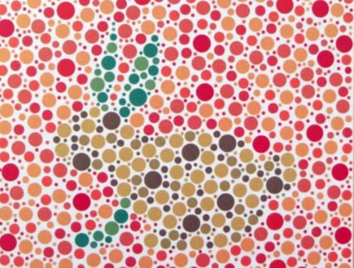 色弱测试图及答案(5张色盲色弱检测图)