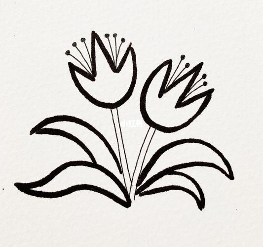 简笔画『各种花的画法』_简笔画_画室_文化_绘画