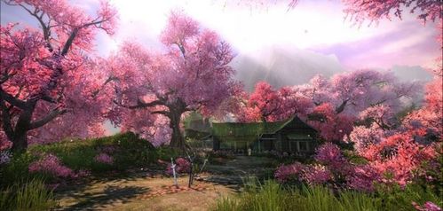 桃花岛唯美图片