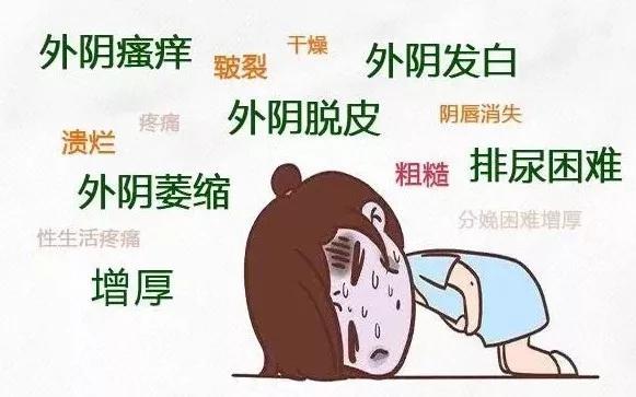 外阴白斑和妇科炎症傻傻分不清该怎么办?