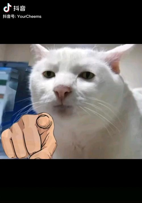 当动物配上魔性的表情包