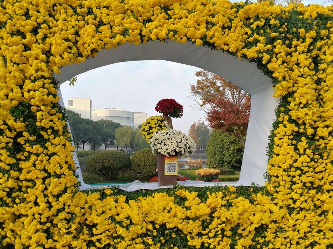 上海大学第十六届菊文化节
