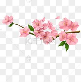 手绘粉红色的桃花免抠图