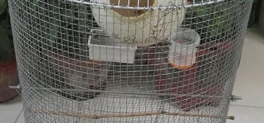 用四分之一的时间搞建筑————自制一架鸟笼