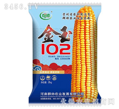 金玉1022kg玉米种子群帅