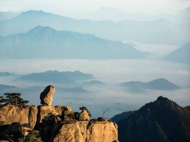  黄山-婺源-唐模-呈坎双飞5日游>飞机往返,接送站,全程无购物,踏青