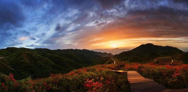 浏阳大围山10000 亩绝美杜鹃花即将盛开,还有多重活动等你嗨玩!