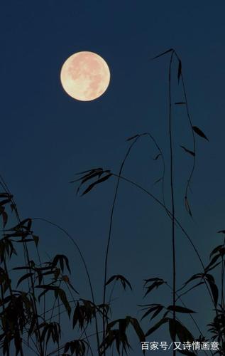 《又是一个无眠夜》