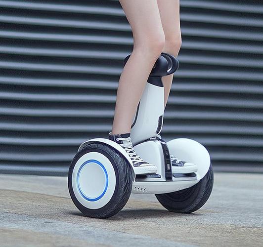 mi 小米 ninebot 九号平衡车 plus rnd 护具套餐