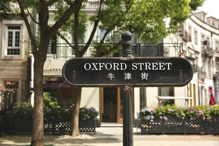 上海扫街中欧街泰晤士小镇等等多图