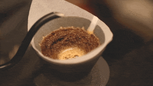 手冲咖啡入门指南.pdf