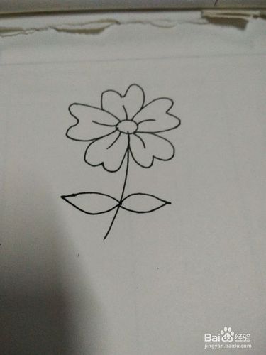 怎么画一朵花