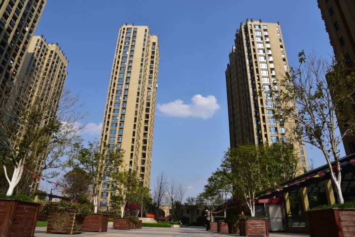 滨江这12个小区获评杭州美好家园来看看你家上榜了吗